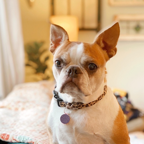 Meet your Posher, Erica - Picture 2 of 2